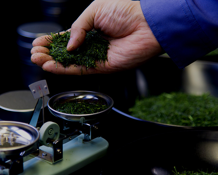 ストーリー｜星野製茶園の物語｜福岡県 八女茶【星野製茶園】